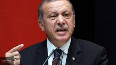 Посол Армении в РФ назвал Турцию "оператором" военных действий в НКР