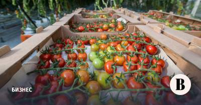 ГК «Рост» станет лидером по производству тепличных огурцов и помидоров