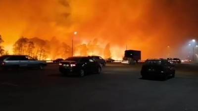 Поджоги или нет: Следственный комитет проводит проверки из-за пожаров в Воронежской области