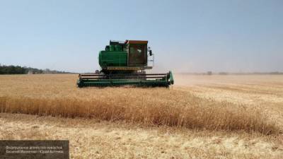 Второй по величине урожай пшеницы собрали в России в 2020 году