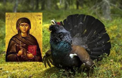 Почему в народе день Ефимии 29 сентября нарекли праздником «Птичьей костки»