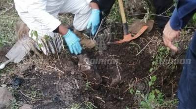 Останки около 100 человек нашли в тайных могилах в Мексике – СМИ