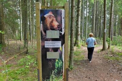 Национальный парк Смоленское Поозерье подготовит гидов-экскурсоводов