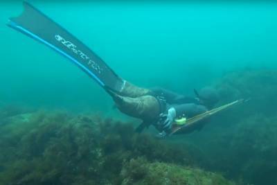 Подводный охотник без ног показал, как он один ездит за добычей