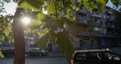 Идем на понижение: синоптики рассказали, какой будет погода в Армении в ближайшие дни