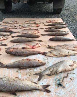 На Ямале полиция взяла с поличным браконьера: у него нашли сеть в 250 метров и ценную рыбу