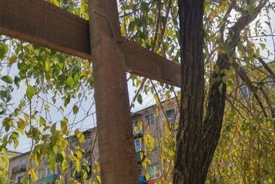 Ремонтирующие дом рабочие в Чите прибили ограждение к живым деревьям