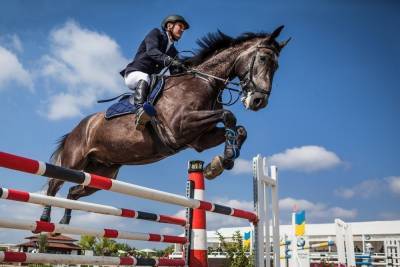 В Казани пройдет чемпионат Татарстана по конному спорту