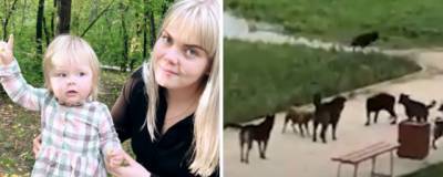 В Екатеринбурге стая бродячих псов напала на женщину с ребенком