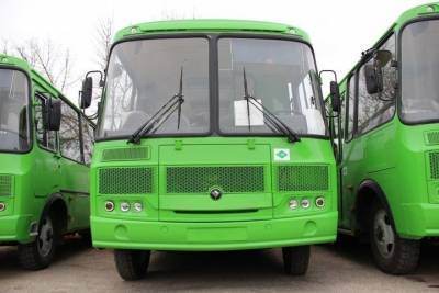 Псковичам объяснили зеленый цвет новых автобусов