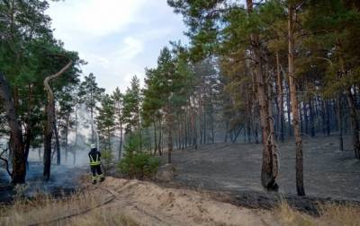 В Луганской области потушили лесной пожар
