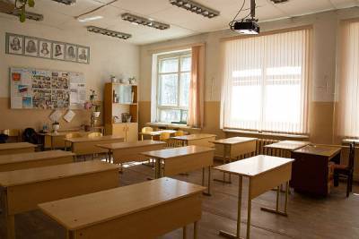 Собянин объявил в школах двухнедельные каникулы