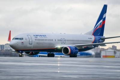 Самолет столкнулся со стаей птиц при заходе на посадку в Нижневартовске