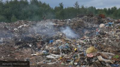 Счетная палата назвала ситуацию с мусором в России критической