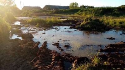 Фермер навозом отравил деревню и пруд в Костромской области