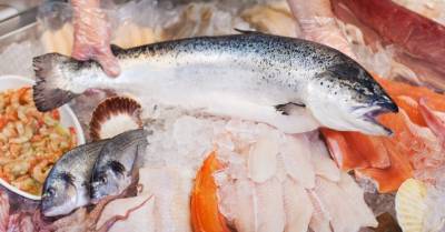Некоторые виды балтийской рыбы безопасны для питания лишь в количестве одного кусочка в неделю