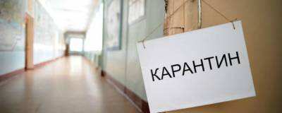 В Нижегородской области карантин по коронавирусу введен в 40 школах