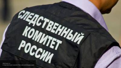 СК ходатайствовал об аресте обвиняемого в мошенничестве Левченко