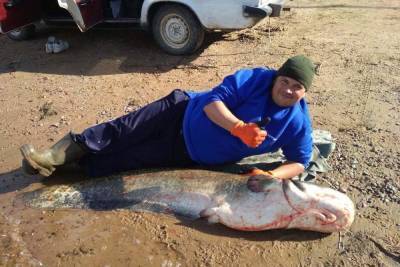 В Тверской области рыбак поймал в Волге большого сома