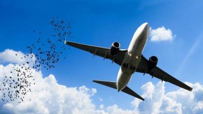 В аэропорту Нижневартовска самолет при посадке столкнулся со стаей птиц
