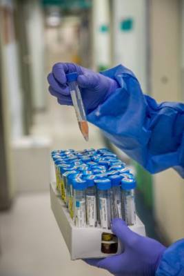 ВОЗ: Создан самый быстрый и дешевый тест на коронавирус - Cursorinfo: главные новости Израиля