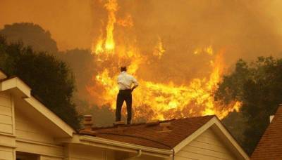 В США продолжаются масштабные пожары, горят виноградники