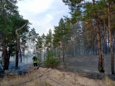 Спасателям удалось ликвидировать лесной пожар на Луганщине