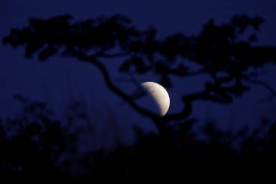 Астрологи рассказали об особенностях лунного затмения 30 ноября, последнего в 2020 году