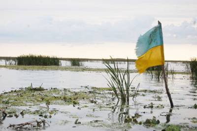Засуха уничтожает сельское хозяйство Украины