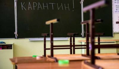Из-за 53 заболевших учеников воронежская сельская школа ушла на дистанционное обучение