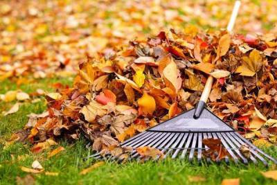 5 способов использовать опавшую листву на даче