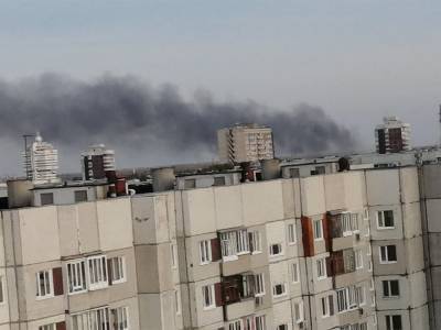 В Димитровграде свалки, в Заволжье гарь, в Засвияжье бабушки падают на дорогу. На что жаловались ульяновцы в соцсетях