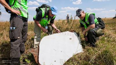 Юрист Исполинов указал, что обвиняемые по делу MH17 могут получить защиту