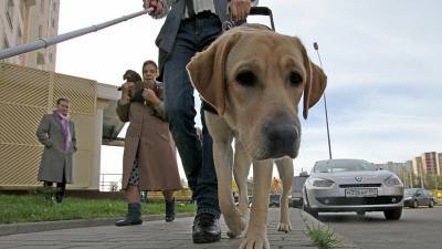 В Башкирии слепого мужчину не пустили в автобус с собакой-поводырем