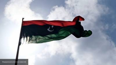 Советник главы Палаты представителей: наемники Турции должны покинуть Ливию
