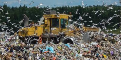 Счетная палата заявила о близкой к критической ситуации с мусором в стране