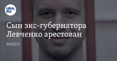Сын экс-губернатора Левченко арестован. ВИДЕО