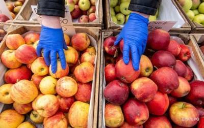Яблоки в Украине взлетели в цене