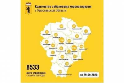 Ярославская область: 50 заболевших COVID-19