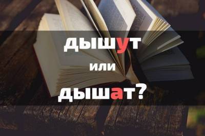 Тест: На какую оценку вы знаете русский язык?