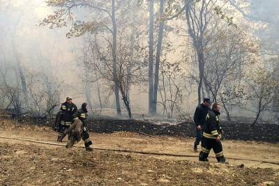 В Волгоградской области ликвидирован и потушен ландшафтный пожар
