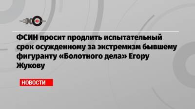 ФСИН просит продлить испытательный срок осужденному за экстремизм бывшему фигуранту «Болотного дела» Егору Жукову