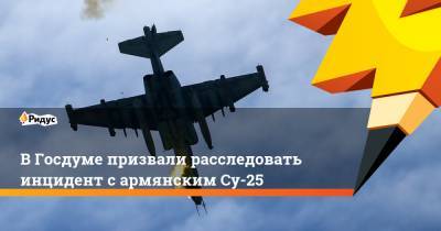 ВГосдуме призвали расследовать инцидент сармянским Су-25