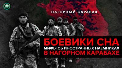 Сирийские наемники в Нагорном Карабахе: миф или реальность?