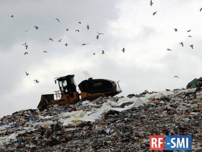 К 2024 году в 32 российских регионах складировать мусор будет негде