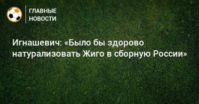 Игнашевич: «Было бы здорово натурализовать Жиго в сборную России»
