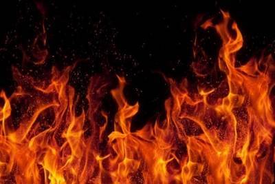 Пожароопасный период продлен в Тверской области до конца октября
