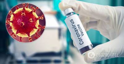 Коронавирус: во Франции нашли молекулу для создания лекарств