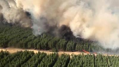 Площадь лесного пожара в Ростовской области достигла почти 522 га