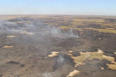Несколько дней горит камыш вдоль Каспия в Атырауской области
